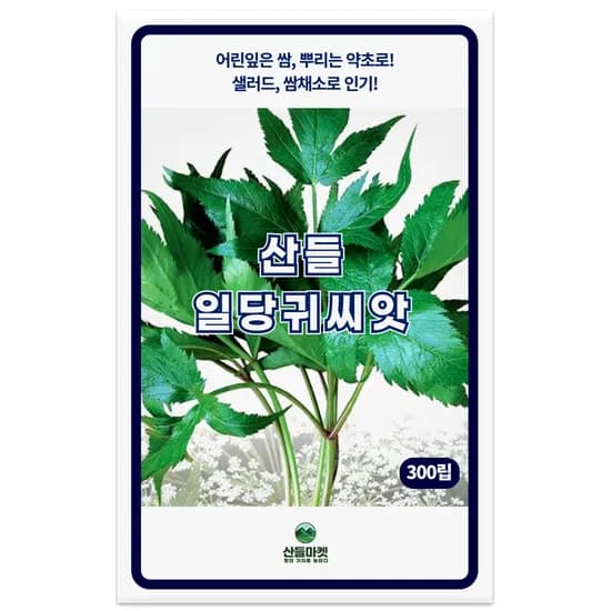 산들마켓 산들 일당귀, 300립, 1개