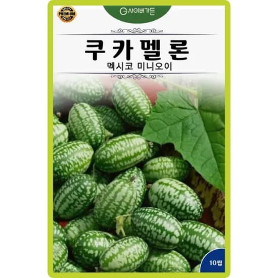쿠카멜론 멕시코 미니 오이 씨앗, 10립, 1개