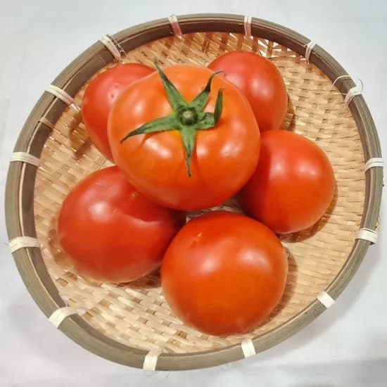새벽청과 완숙 찰 토마토, 주스용, 5kg, 1개