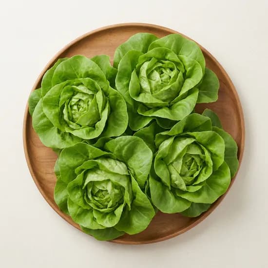에이아이루트팜 유러피안 샐러드 1kg 1박스 11,840원