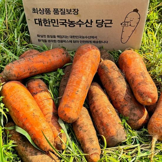 대한민국농수산 국내산 햇당근, 주스용 못난이, 5kg, 1개
