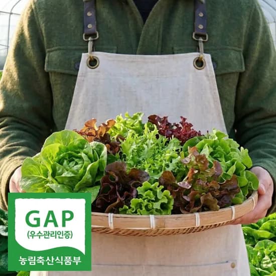 GAP 인증 유러피안 샐러드 쌈채소, 1kg, 1박스