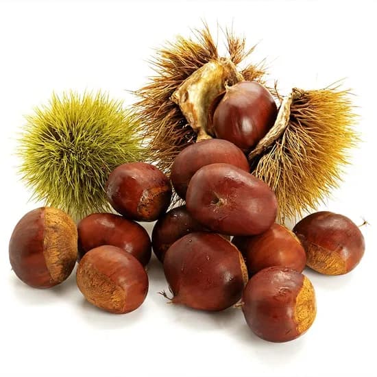 부여 햇 밤, 중크기, 2kg, 1개