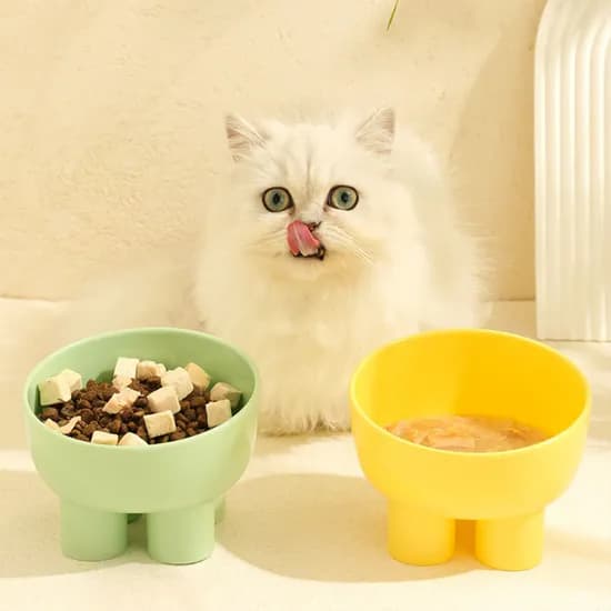 반려동물 식기 강아지 고양이 사료 물 그릇, 옐로우, 그린, 스카이, 3개