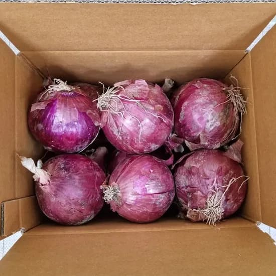 잘 말려 단단한 최상품 무안 자색양파, 소, 10kg, 1box