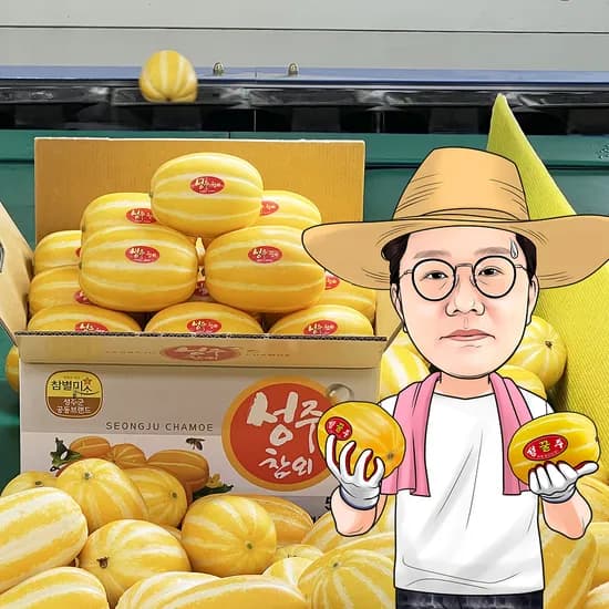 프레시왕 성주 꿀벌 수정 참외, 못난이 혼합과, 9kg, 1박스