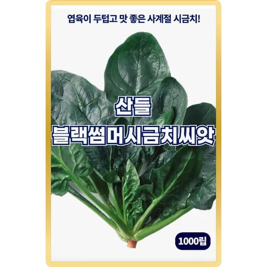 산들마켓 산들 블랙썸머 시금치 씨앗, 1000립, 2개