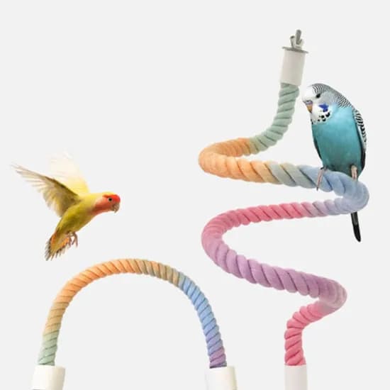 앵무새 로프 횟대, 앵무새, 60cm, 1개