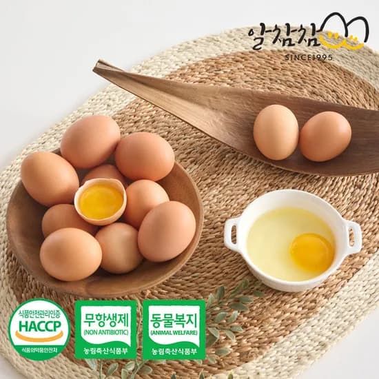 알참참 무항생제 동물복지 유정란, 난각번호 2번, 30구, 1개