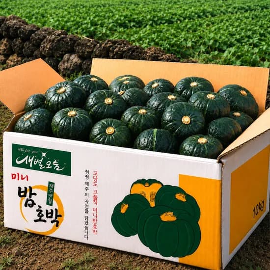 제주 보우짱 미니밤호박, 로얄과, 특상품, 2kg, 1박스
