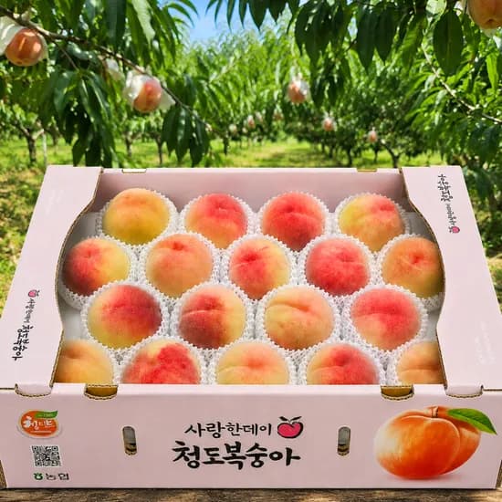 청도 백도 복숭아, 특품, 4kg, 1박스