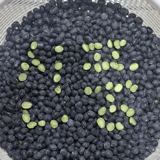 신풍애농부들 25년 국내산 햇 속청 서리태 새바람, 1kg, 2개
