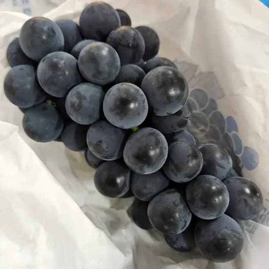 캠벨포도 3kg 1개