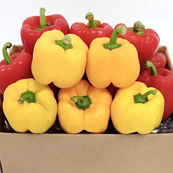 못난이 혼합 파프리카, 1kg, 1개