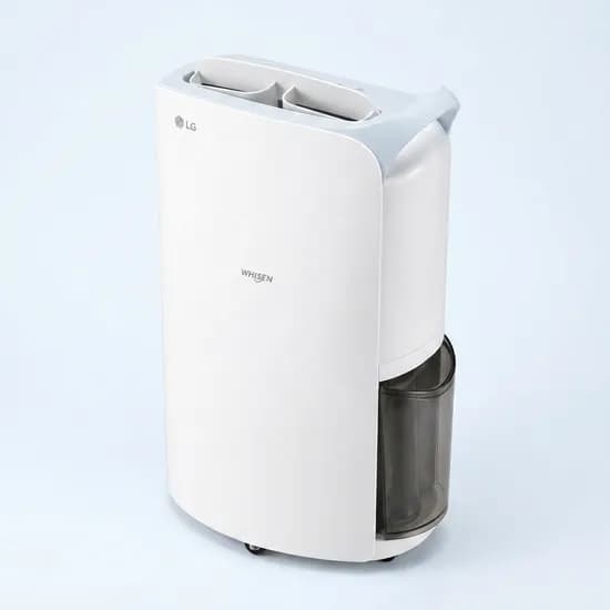 LG 휘센 제습기, DQ205PBBC, 20L, 1등급, 인버터, 1개