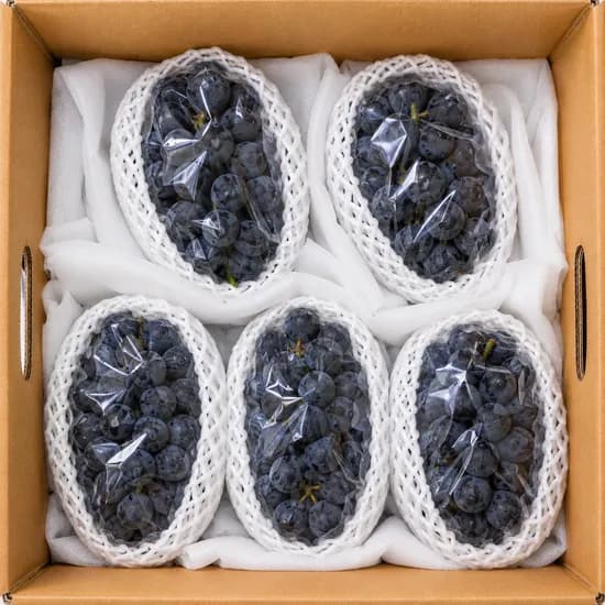 원물곳간 캠벨포도, 달콤한, 2kg, 1박스