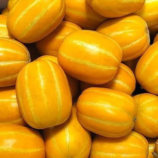 성주 꿀참외, 랜덤과, 10kg, 1박스