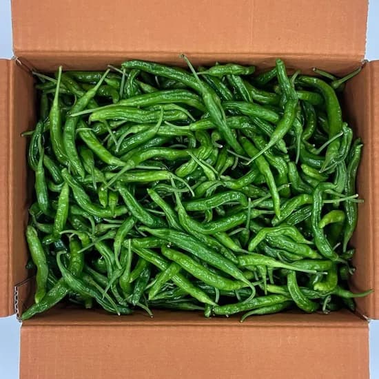 국내산 꽈리고추, 특품, 1kg, 1개