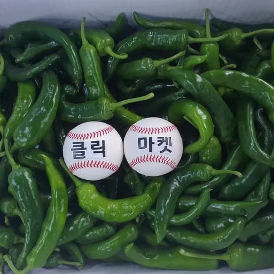 국내산 아삭이 오이고추, 상, 2kg, 1개