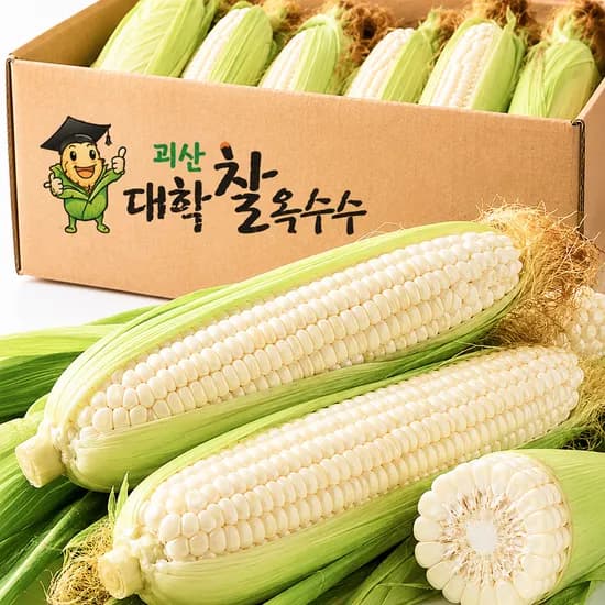 꿀농 괴산대학찰옥수수, 특품, 16cm 이상, 300g, 20개