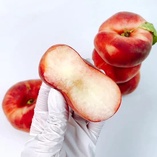거반도 진짜 유럽종 납작복숭아, 500g, 1박스
