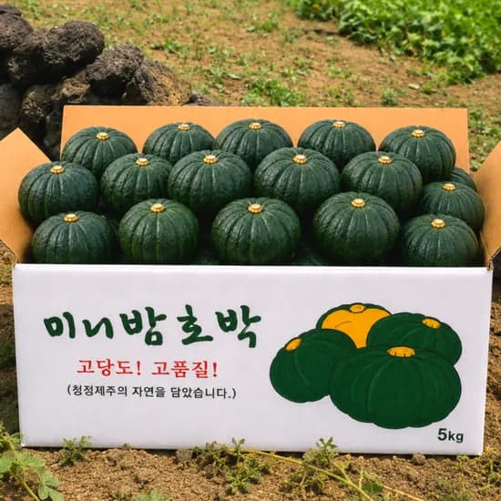 국내산 제주 미니단호박 밤호박, 로얄과, 정품, 10kg, 1박스