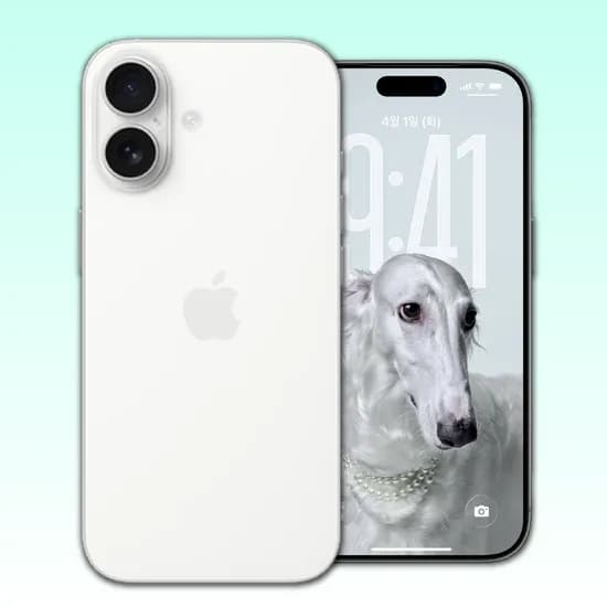 애플 아이폰 17 256GB 화이트 1대