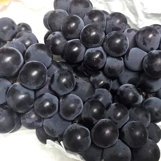 캠벨포도, 2kg, 1박스