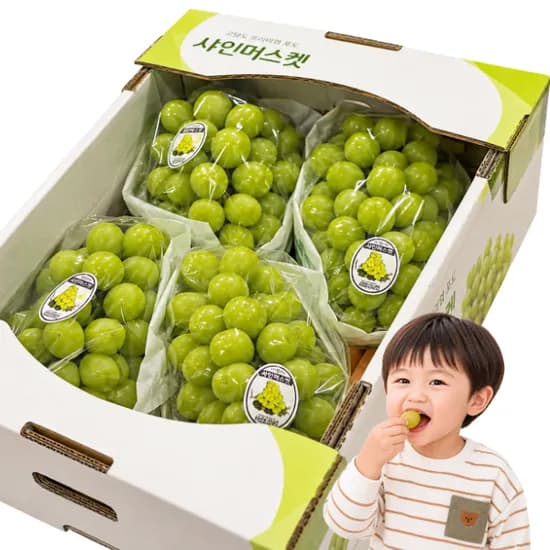 담과원 씨없는 꿀뚝뚝 샤인머스켓 2kg 1박스