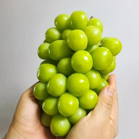 담과원 씨없는 특품 샤인머스켓, 2kg, 1박스