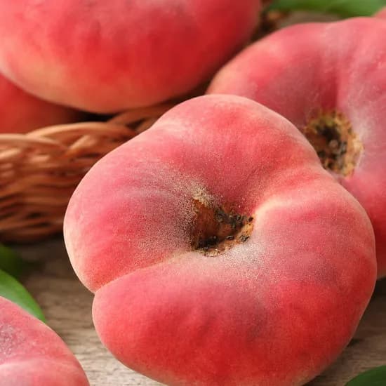 거반도 납작복숭아, 당도선별, 산지직판, 1kg, 1개