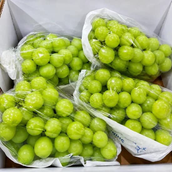 산들청과 가정용 샤인머스켓, 7-8수, 4kg, 1박스