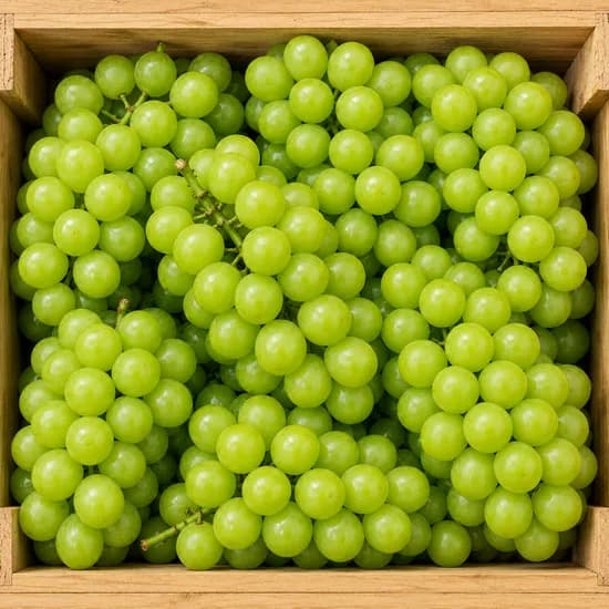 샤인머스켓, 특품, 고당도, 4kg, 1개