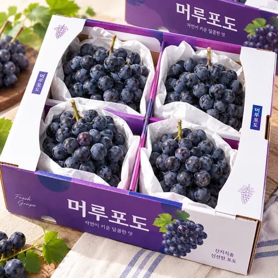 국내산 머루 포도, 특품, 2kg, 1박스