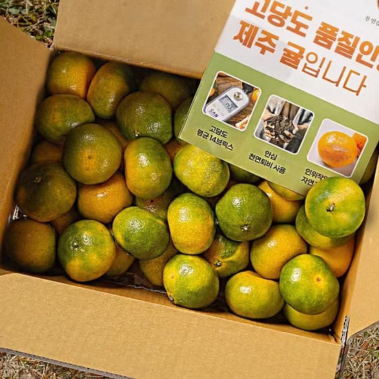계약재배된 제주직송 제주 노지감귤, 가정용, 2kg, 1박스