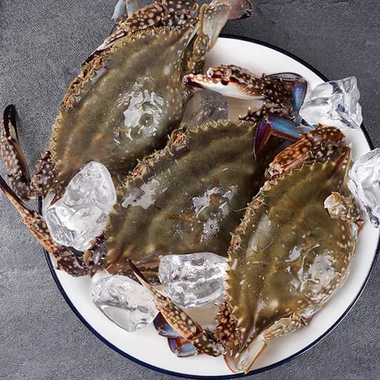 연평도 급냉 몽땅 암꽃게 2kg 10-12미 1개