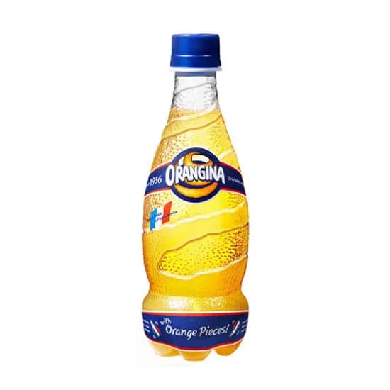 롯데칠성음료 오랑지나, 420ml, 24개
