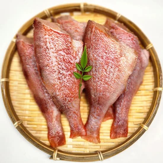 두절 뽈락, 1kg, 10미 내외, 1개