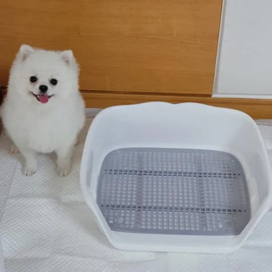 아서아리 강아지 오픈형 평판형 화장실 배변판, 분홍, L, 1개