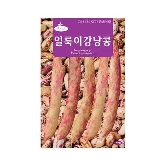 농업회사법인 청농종묘 얼룩이 강낭콩 씨앗, 얼룩이강낭콩, 70립