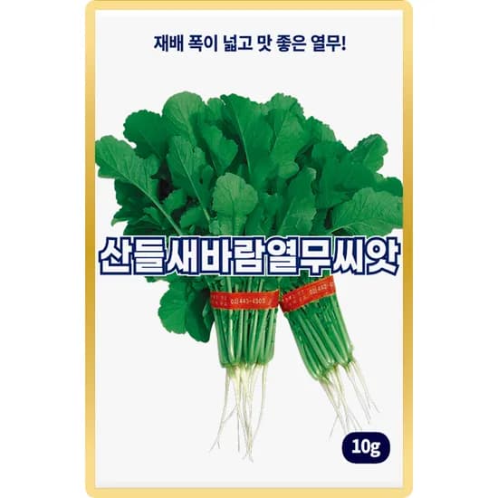 산들마켓 산들새바람열무씨앗, 10g, 2개