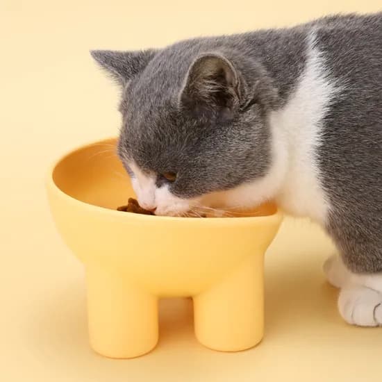 강아지 고양이 밥그릇, 스카이, 1개
