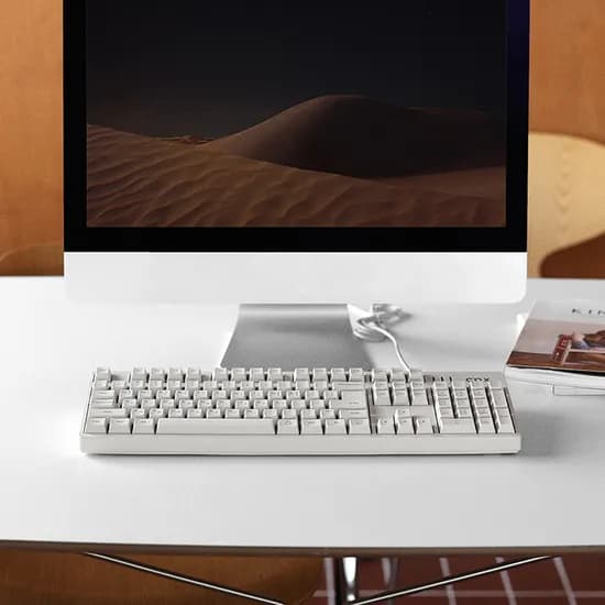 콕스 CK20th Century 멤브레인 게이밍 키보드 키스킨 에디션 CK20th 화이트 제조사축 1개