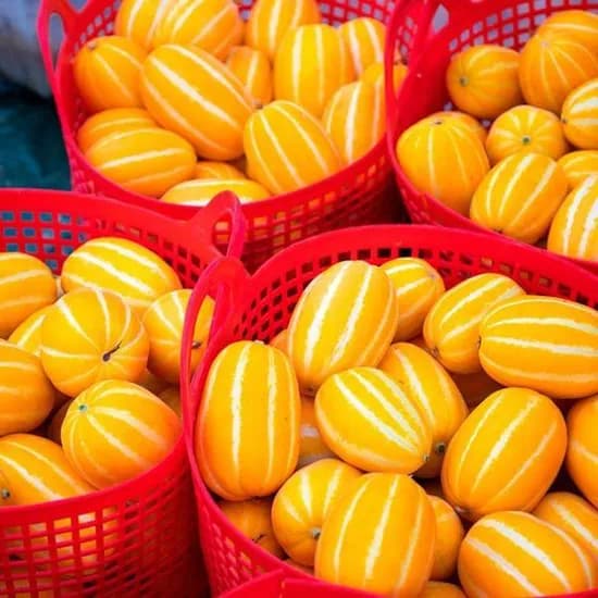 성주 참외 가정용, 5kg