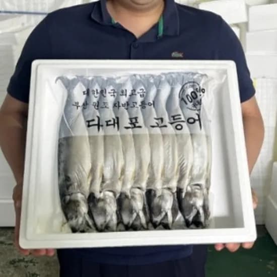 국내산 부산 자반고등어, 대, 3.1-3.7kg, 10마리