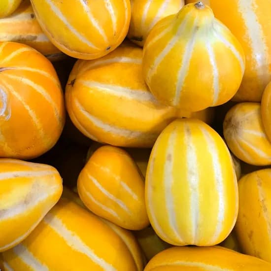 성주 참외 가정용, 5kg