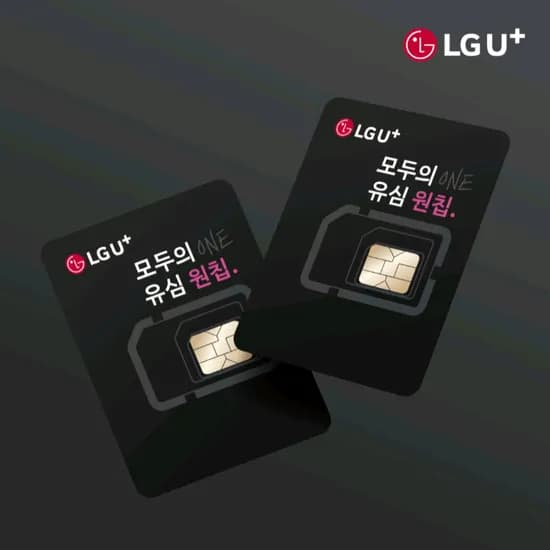 LGU+ 모두의 ONE 유심 원칩 2개