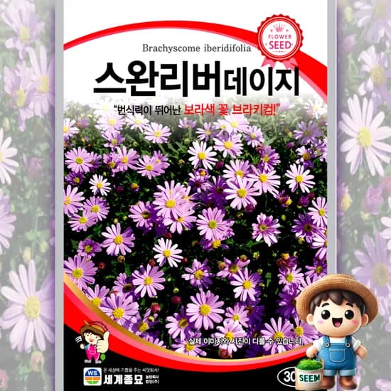 스완리버데이지 300립 다년생 1개 5,500원