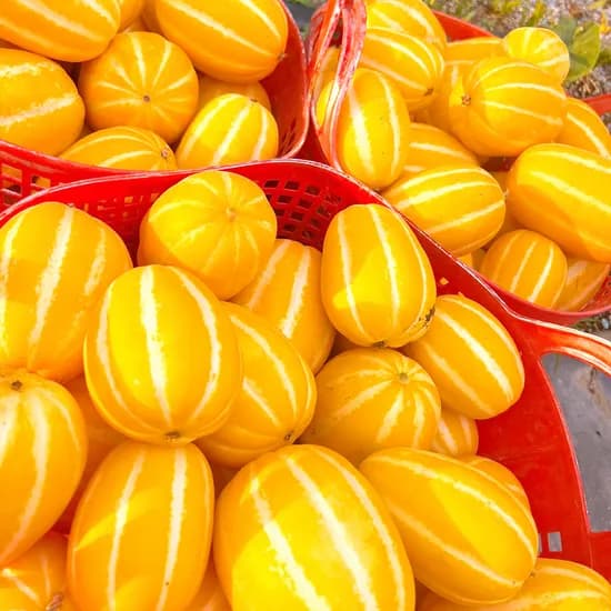 성주 꿀 참외, 미니과, 3kg, 15~30개, 1박스