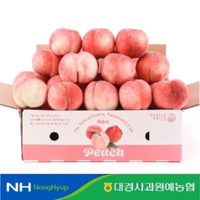 경북영천 딱딱이 복숭아 로얄과 2kg 10과내외